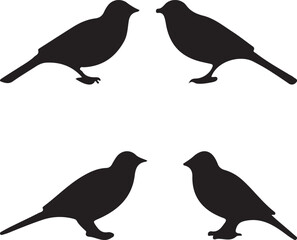 birds silhouettes set