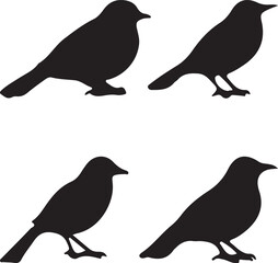 set of birds silhouettes