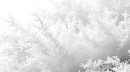 ice crystals background