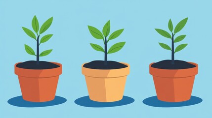 Obraz premium Three Colorful Potted Plants with Green Leaves on a Blue Background