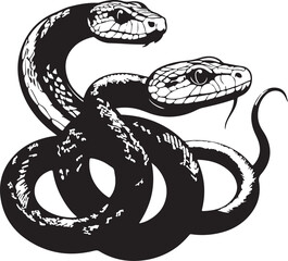 black and white snake