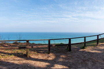 Obraz premium Forest Path Leading to a Scenic Cliff Overlooking the Sea in Jastrzębia Góra