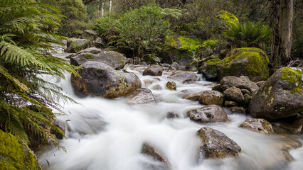 waterfall in the forest
