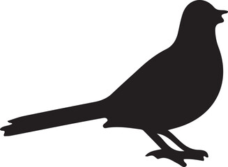vector illustration of a bird