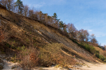 Eroded Sand Cliffs with Forest Above a Sandy Beach in Jastrzębia Góra on a Sunny Day