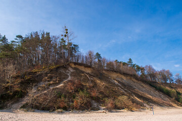 Eroded Sand Cliffs with Forest Above a Sandy Beach in Jastrzębia Góra on a Sunny Day