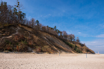 Eroded Sand Cliffs with Forest Above a Sandy Beach in Jastrzębia Góra on a Sunny Day