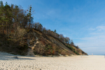 Eroded Sand Cliffs with Forest Above a Sandy Beach in Jastrzębia Góra on a Sunny Day