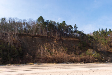 Eroded Sand Cliffs with Forest Above a Sandy Beach in Jastrzębia Góra on a Sunny Day