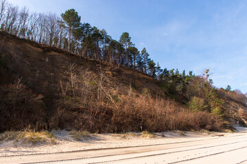 Eroded Sand Cliffs with Forest Above a Sandy Beach in Jastrzębia Góra on a Sunny Day
