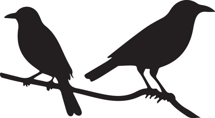 two birds on a branch