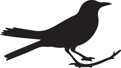 silhouette of a bird