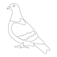 Pigeon bird one line art illustration