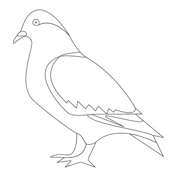 recommend clip art: Pigeon bird one line art illustration