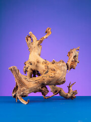Macro shot of natural wooden driftwood designed for aquariums or terrariums against a purple backdrop