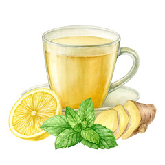 Ginger tea with lemon in a glass cup. Watercolor illustration is hand drawn and isolated from the background. For design of packaging, menus, recipes