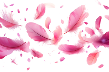 A collection of delicate pink feathers, exuding a soft and gentle aesthetic, beautifully arranged on a clean, transparent background.