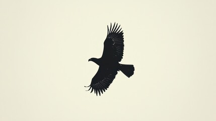 Fototapeta premium Eagle in flight, light background, nature, wildlife, poster
