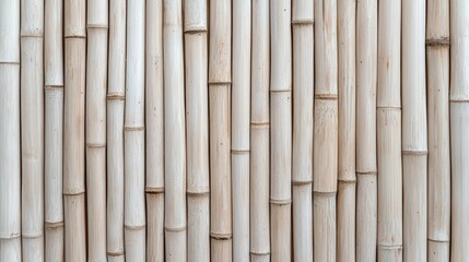 Fototapeta premium Light beige bamboo fence background