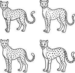 Wild Animal Coloring Pages for Kids