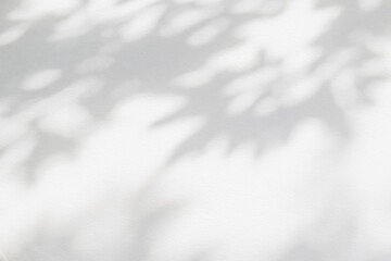 Leaf shadow and light on wall background. Nature tropical leaves tree branch plant shade sunlight on white wall for wallpaper, shadow overlay effect foliage mockup, graphic layout, wallpaper, design