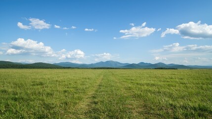 Obraz premium Serene grassland, mountains backdrop, summer sky, peaceful landscape, nature scene