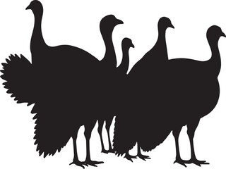 Turkey vector silhouette Farm animal, A turkey is a large bird native to North America, known for its distinctive fan-shaped tail and wattled neck.
