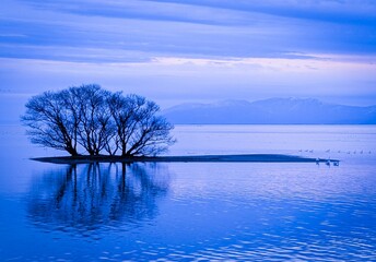 琵琶湖の風景（滋賀県長浜市）