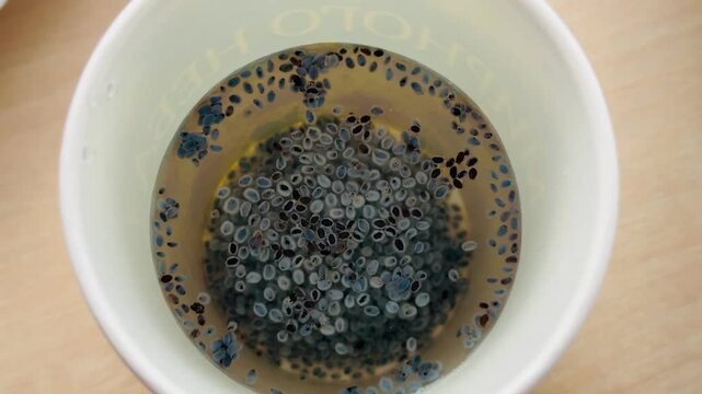 basil seeds, Tukmaria seeds in a glass of water