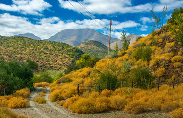 Farm track in the Klein Karoo.