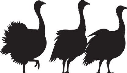 Turkey vector silhouette Farm animal, A turkey is a large bird native to North America, known for its distinctive fan-shaped tail and wattled neck.
