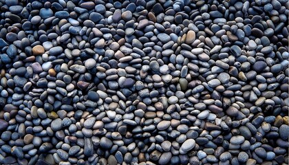 敷き詰められたたくさんの小石