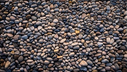 敷き詰められたたくさんの小石