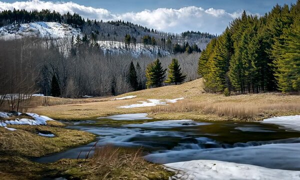Late winter landscape transitioning to spring in Bromont, showcasing melting snow and budding flora.