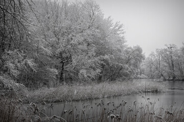 Winter Landscape: A serene scene of snow-covered trees bordering a tranquil, icy river under a...