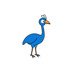 vector illustration of a peacock