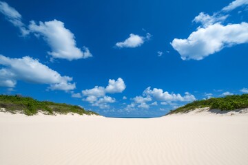Expansive sandy beach with lush greenery under a bright blue sky