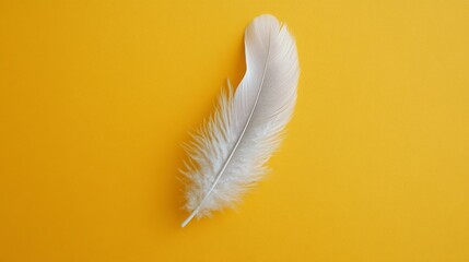 Obraz premium Single white feather is isolated on a plain orange backdrop