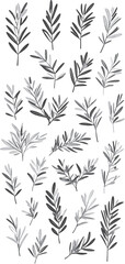 A set of Olive Branches in a Modern Linear Minimal Style white background black illustration Olive branch vector
