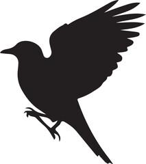 crow on a white background