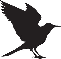 vector illustration of a cartoon bird