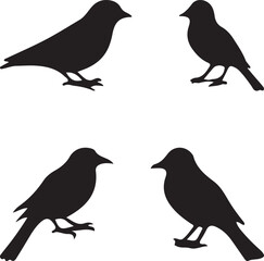 set of birds