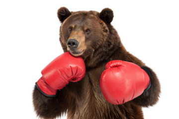 Boxing Bear Wearing Red Gloves in Action for Fun and Sporty Themes