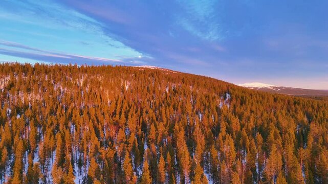 Lapland Sunset Drone Ascent 2 &ndash; Rising Above Snowy Tree Line in a Lappish Mountain