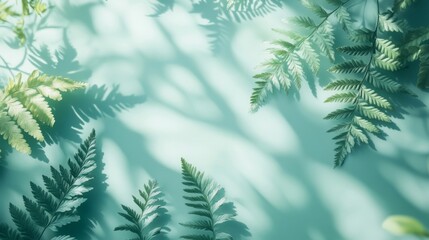 Fern leaves create shadow patterns on a pastel turquoise backdrop
