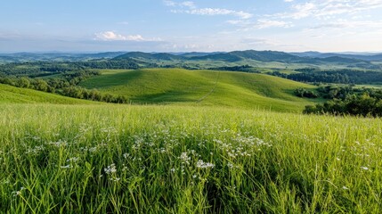 Rolling hills, lush green meadows, tranquil landscape, scenic view