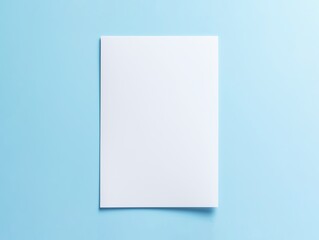 Fototapeta premium A blank A4 paper mockup with white dried flowers.