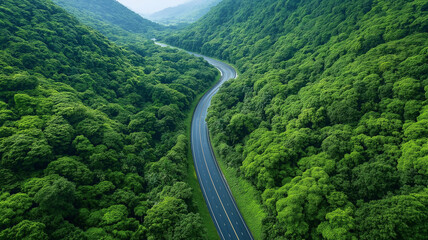 Winding road through lush green forest landscape