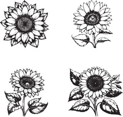 "Elegant Sunflower Illustrations - Black and White Line Art of Sunflowers in Various Styles"
