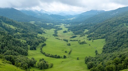 Fototapeta premium Serene mountain valley landscape, green pastures, cloudy sky, travel postcard